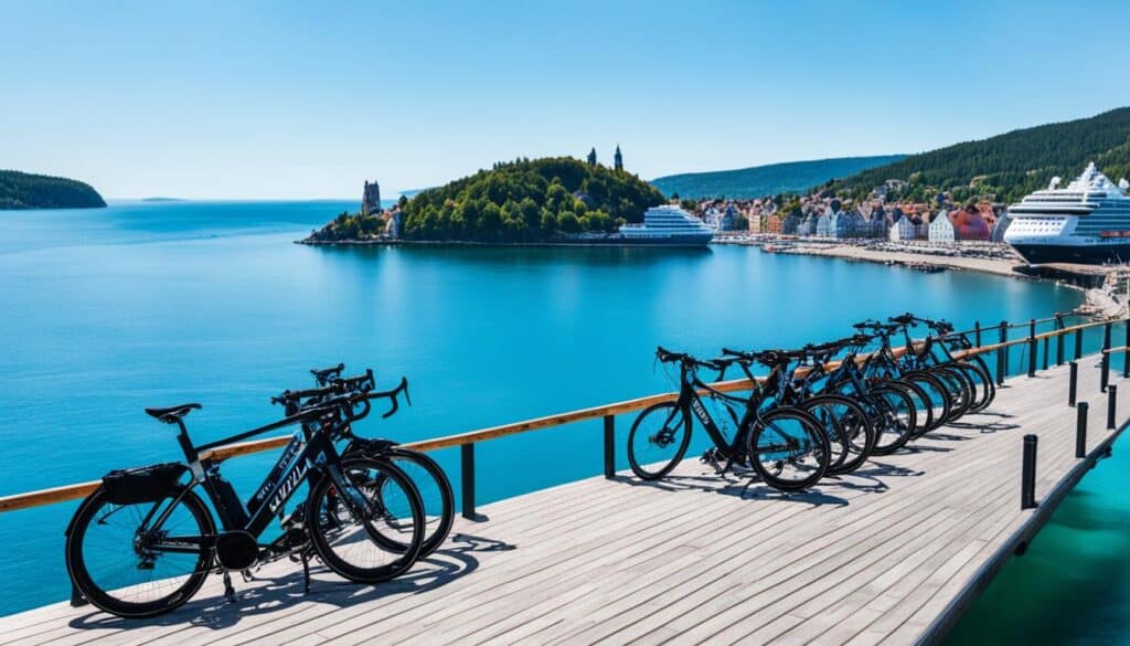 Mein Schiff Bikes